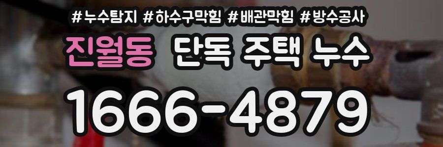 진월동 단독 주택 누수