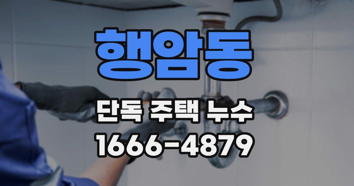 행암동 단독 주택 누수