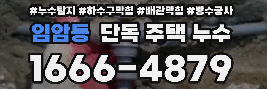 임암동 단독 주택 누수