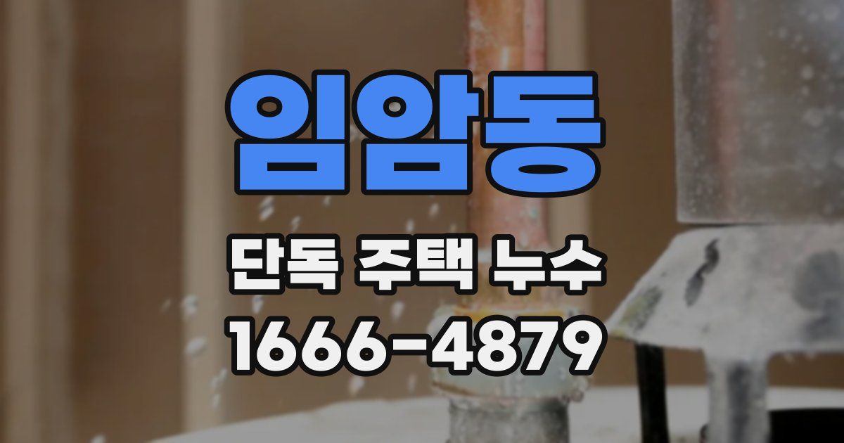 임암동 단독 주택 누수