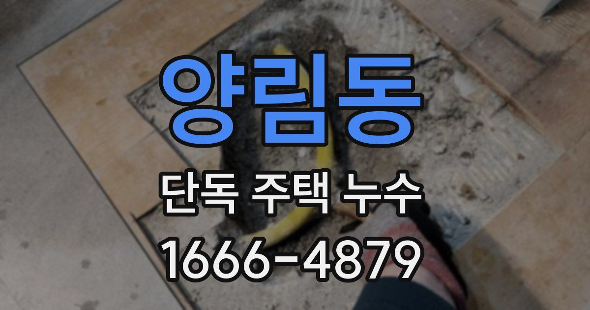 양림동 단독 주택 누수