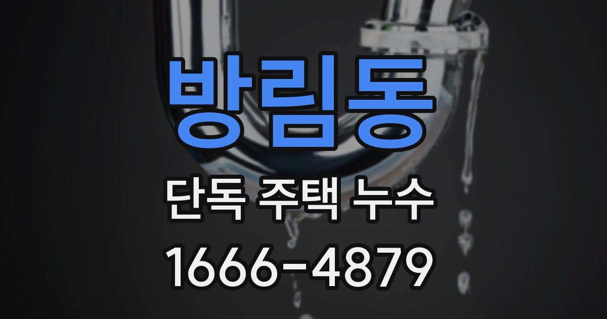 방림동 단독 주택 누수