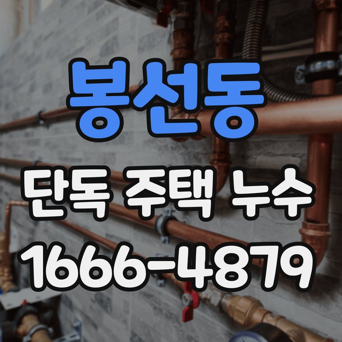 봉선동 단독 주택 누수