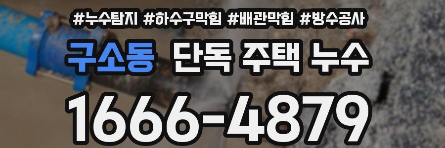 구소동 단독 주택 누수