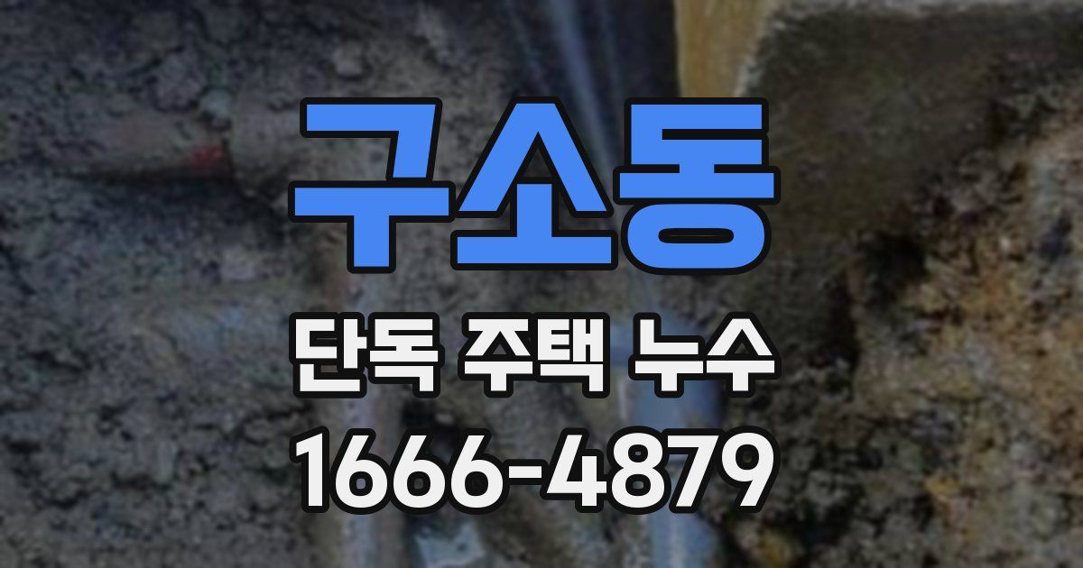 구소동 단독 주택 누수