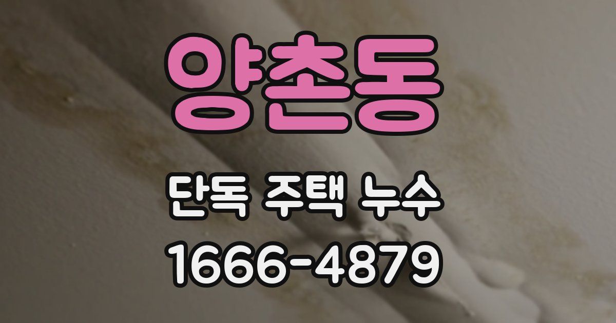 양촌동 단독 주택 누수