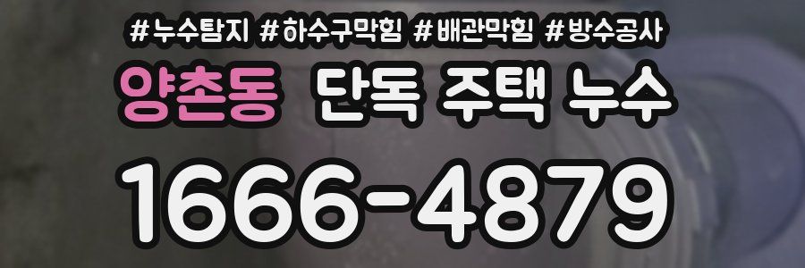 양촌동 단독 주택 누수