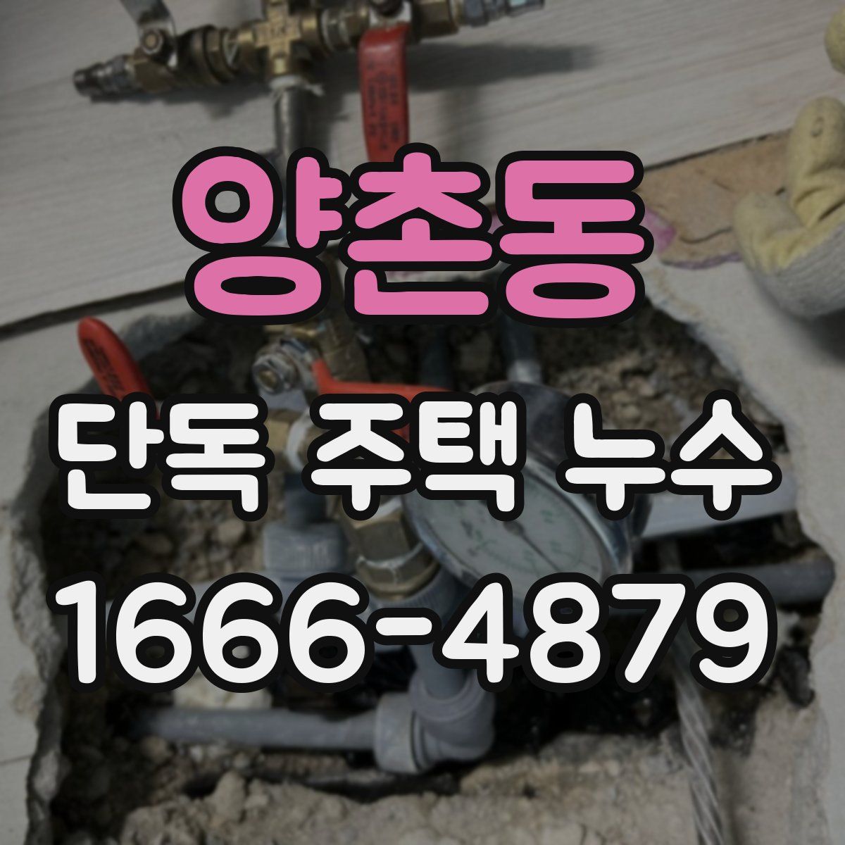양촌동 단독 주택 누수
