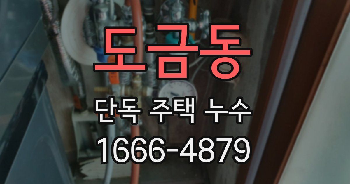 도금동 단독 주택 누수