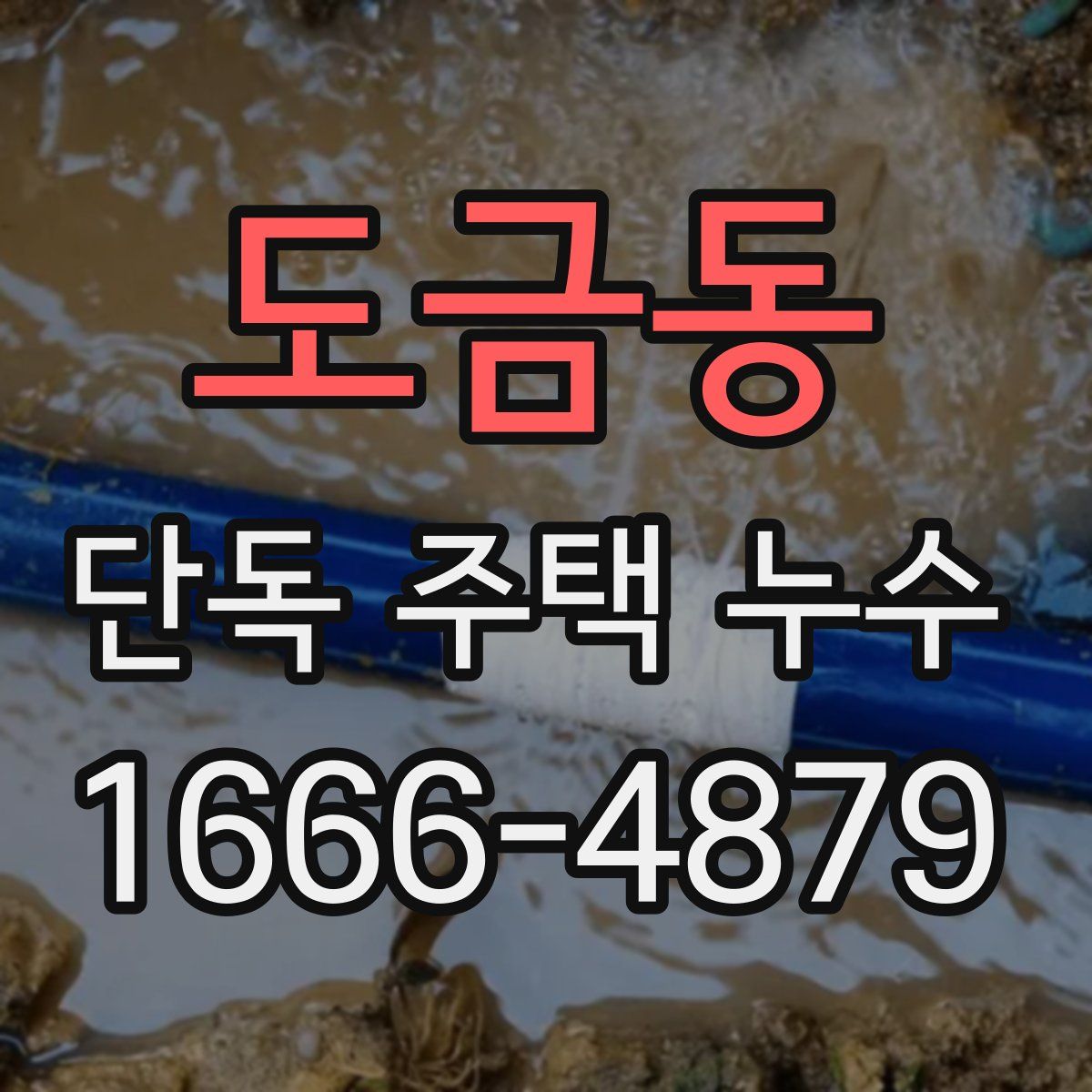 도금동 단독 주택 누수