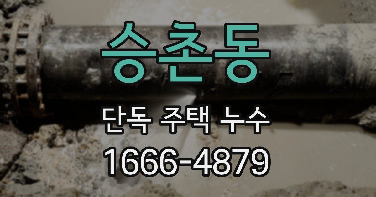 승촌동 단독 주택 누수