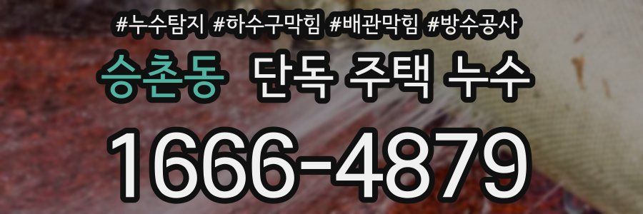 승촌동 단독 주택 누수