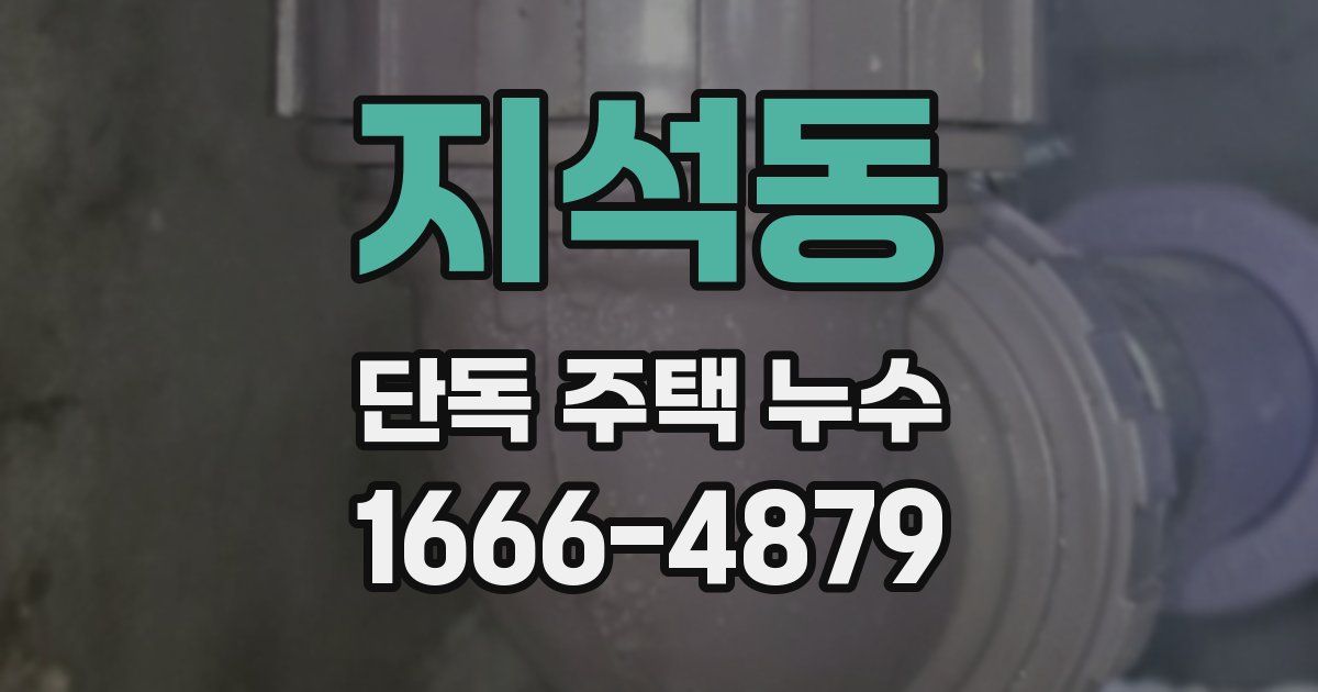 지석동 단독 주택 누수