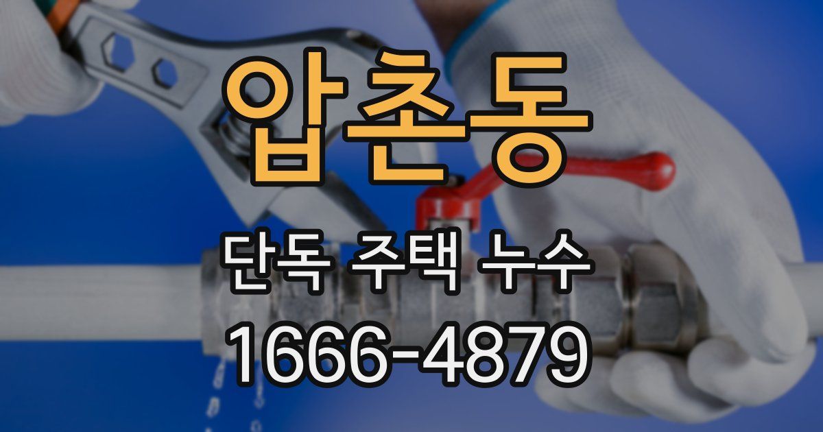 압촌동 단독 주택 누수