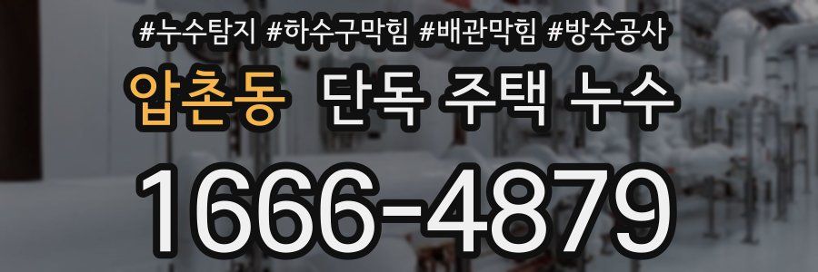 압촌동 단독 주택 누수