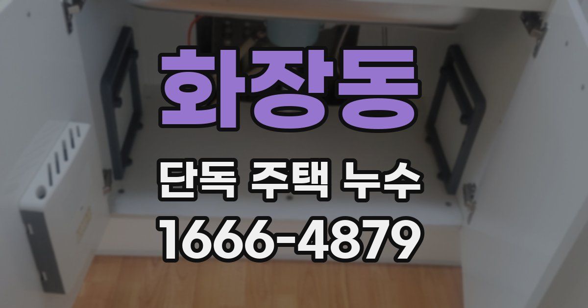 화장동 단독 주택 누수
