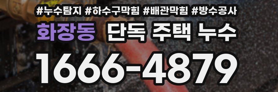 화장동 단독 주택 누수