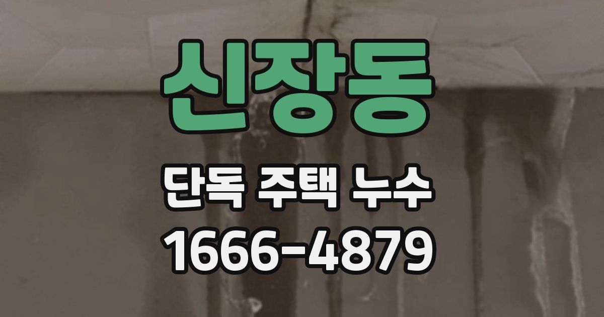 신장동 단독 주택 누수