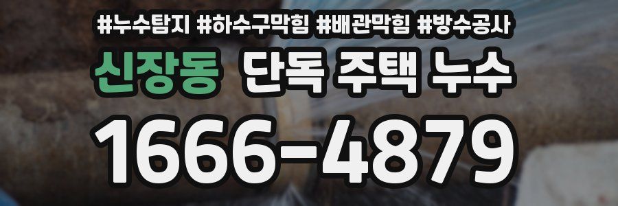 신장동 단독 주택 누수