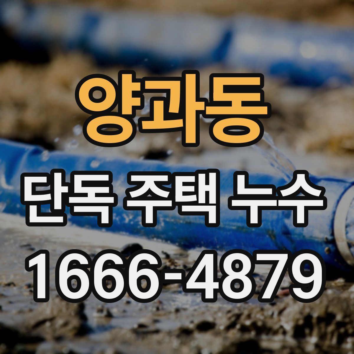 양과동 단독 주택 누수