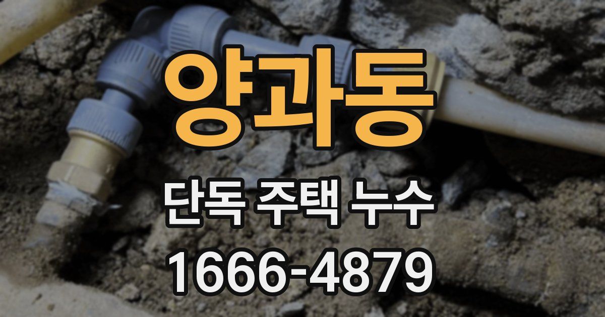 양과동 단독 주택 누수