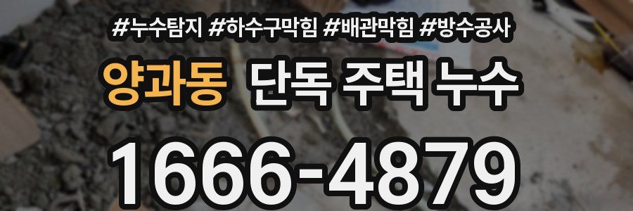 양과동 단독 주택 누수