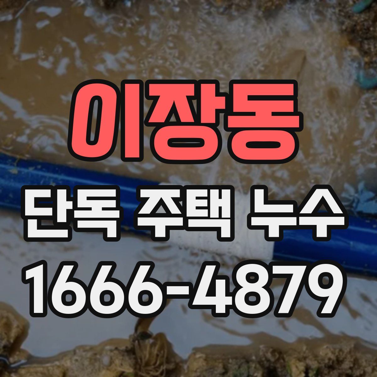 이장동 단독 주택 누수