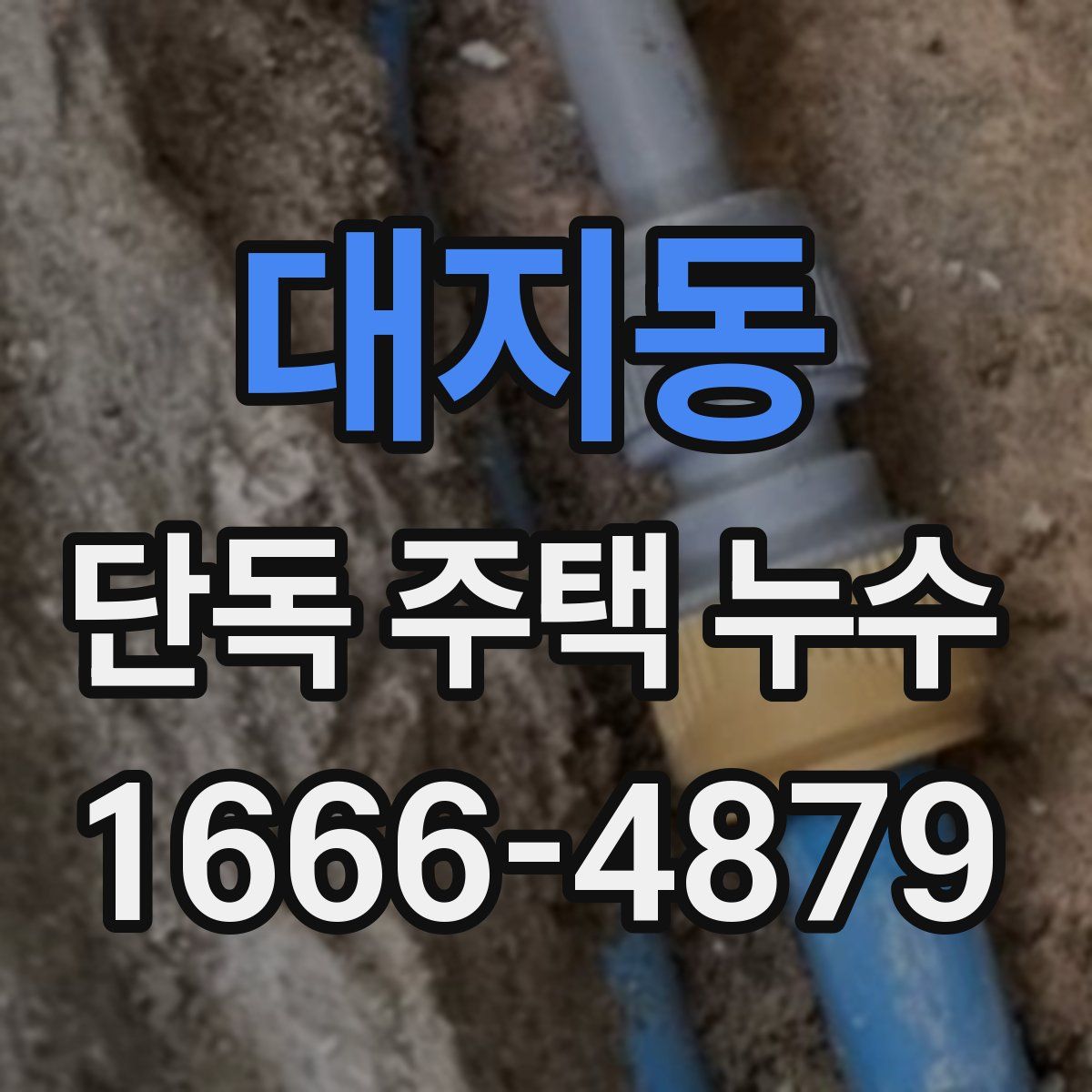 대지동 단독 주택 누수