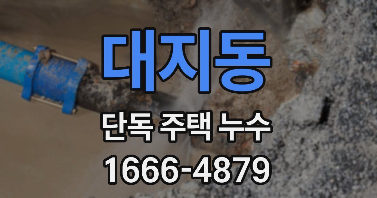 대지동 단독 주택 누수