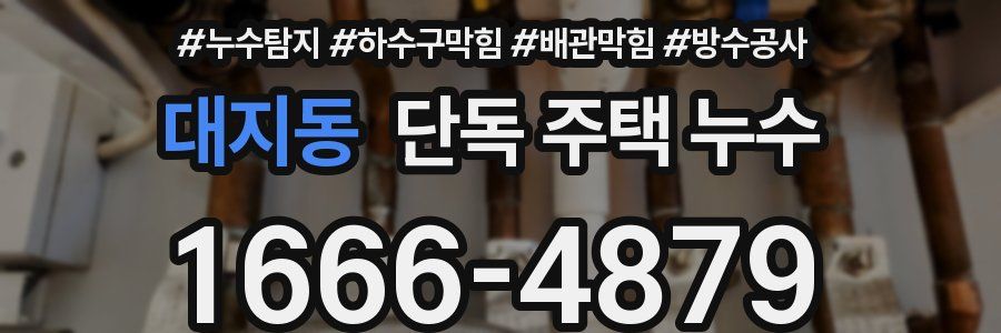 대지동 단독 주택 누수