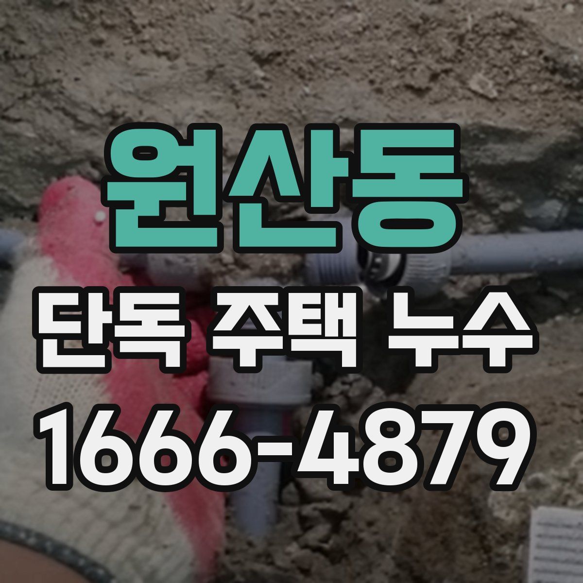 원산동 단독 주택 누수