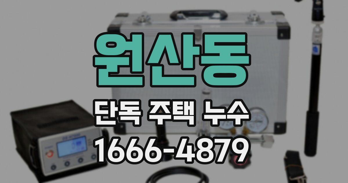 원산동 단독 주택 누수