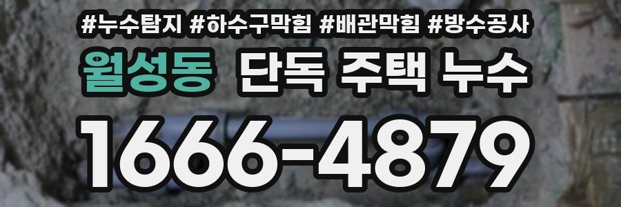 월성동 단독 주택 누수