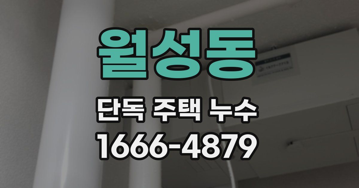 월성동 단독 주택 누수