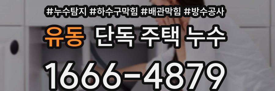 유동 단독 주택 누수