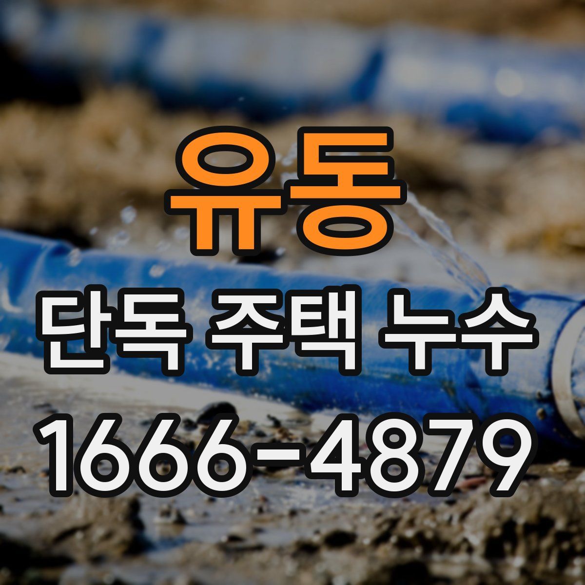 유동 단독 주택 누수