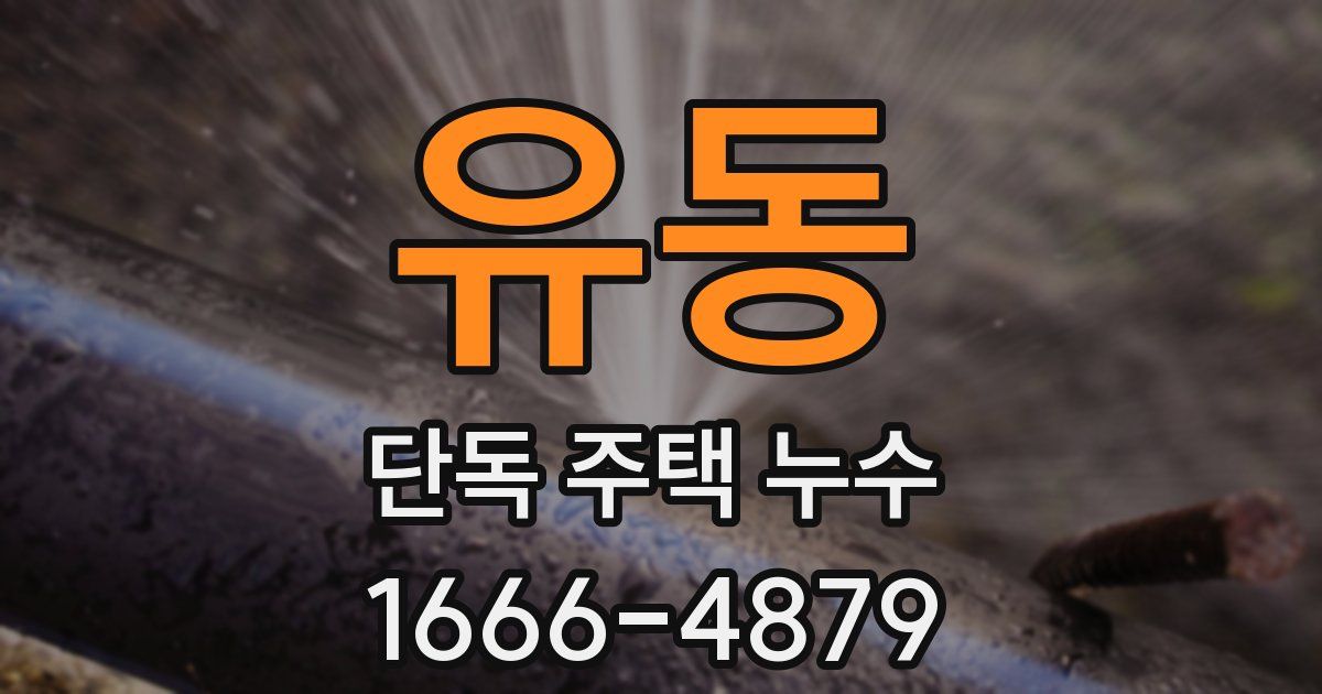 유동 단독 주택 누수