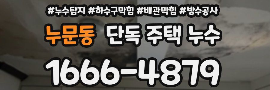 누문동 단독 주택 누수