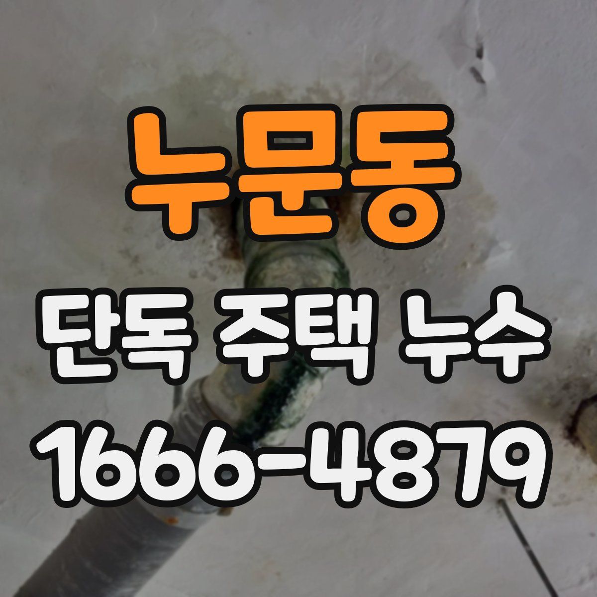 누문동 단독 주택 누수