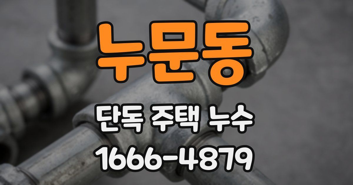 누문동 단독 주택 누수