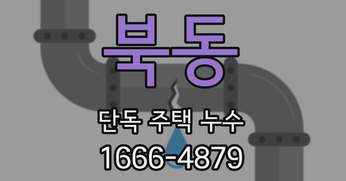 북동 단독 주택 누수