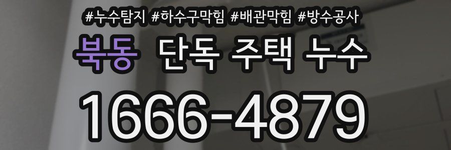 북동 단독 주택 누수