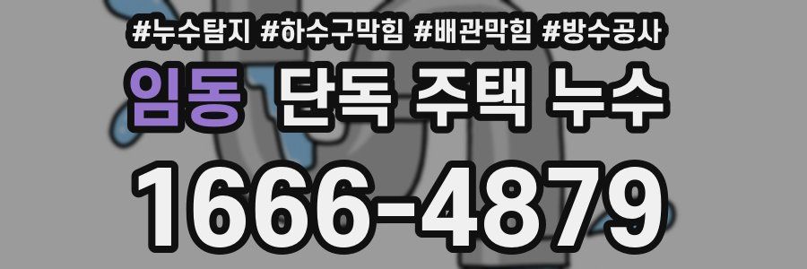 임동 단독 주택 누수