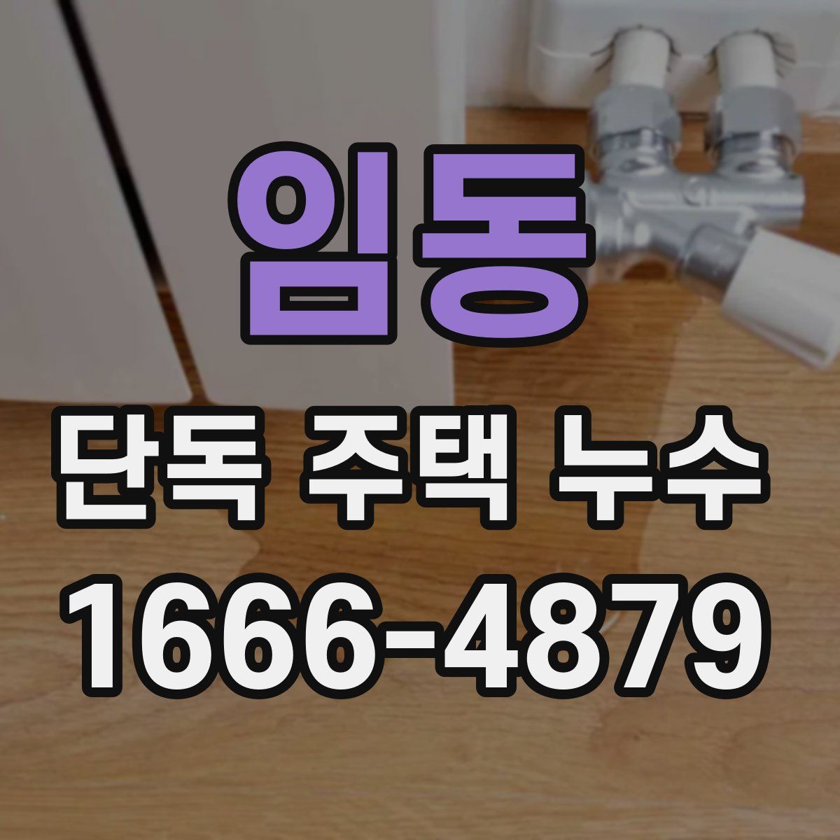 임동 단독 주택 누수