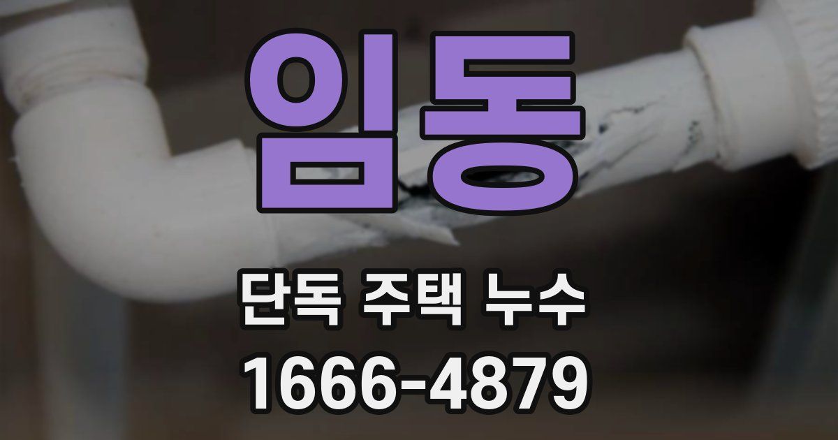 임동 단독 주택 누수