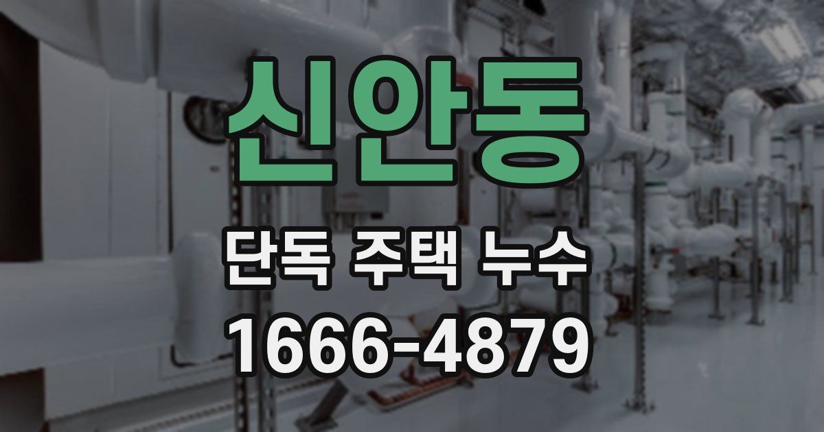 신안동 단독 주택 누수