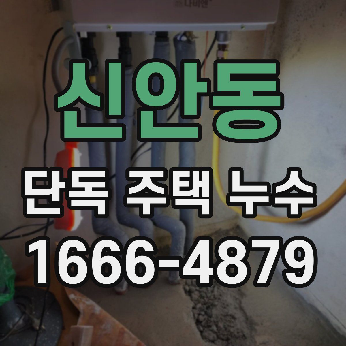 신안동 단독 주택 누수