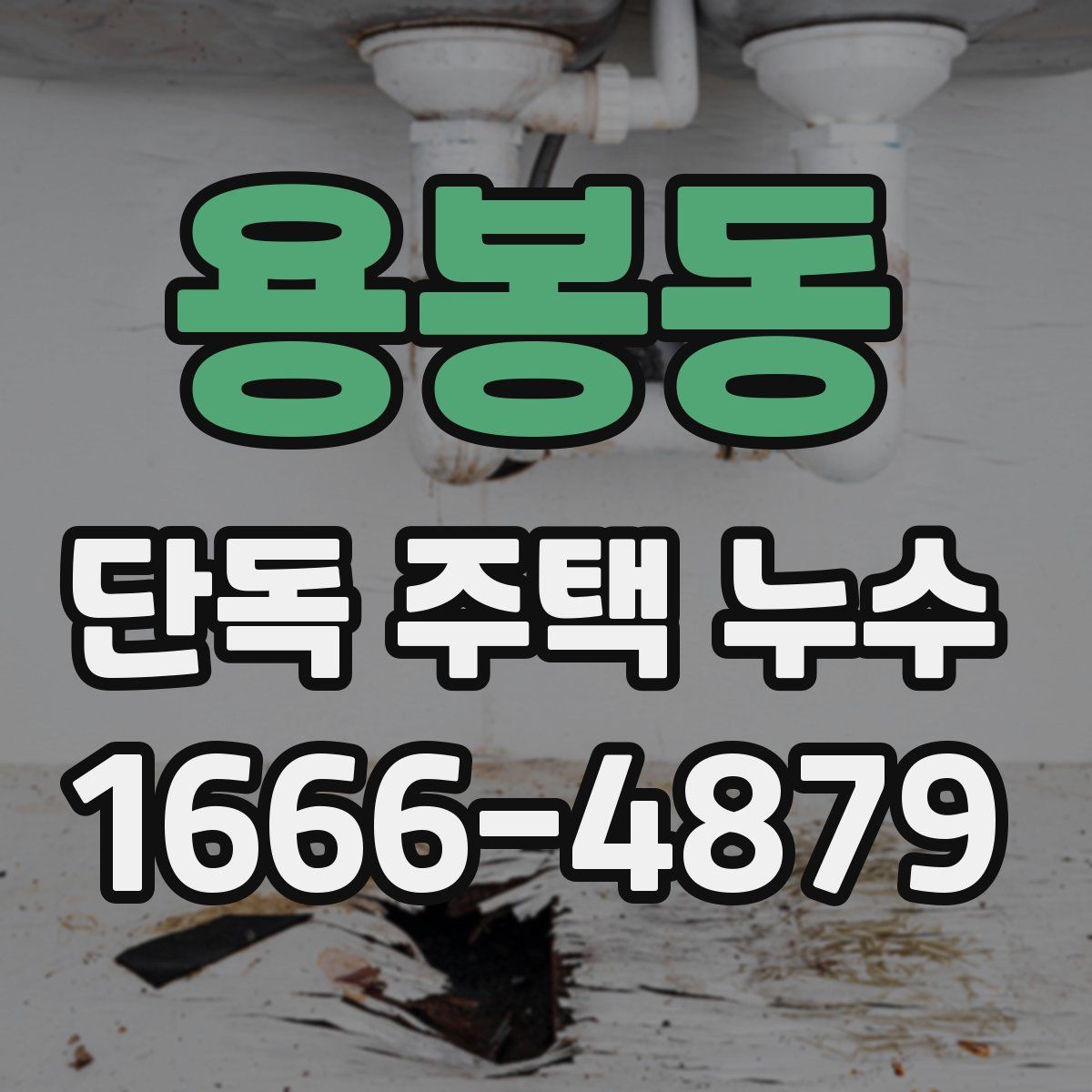 용봉동 단독 주택 누수