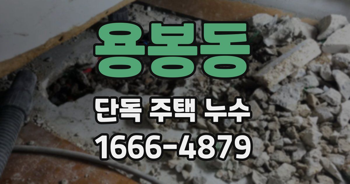 용봉동 단독 주택 누수