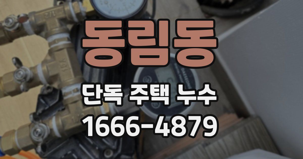 동림동 단독 주택 누수